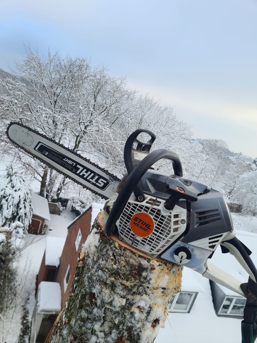 Motorsäge auf frisch geschnittenem Stamm im winterlichen Einsatz